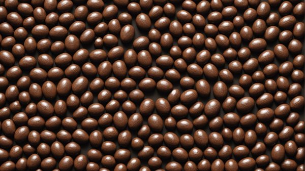 Chocolat bean-to-bar en france : un goût du brésil à paris